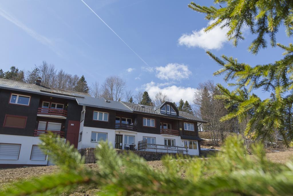 Kuckucksnester Feldberg Feldberg  Exteriér fotografie